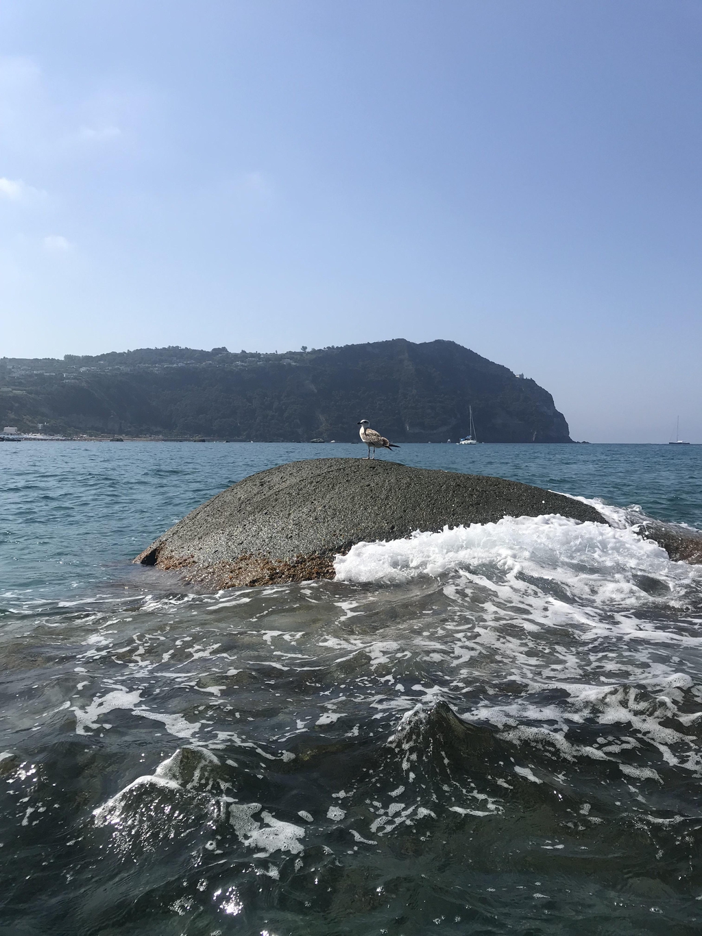 Spiaggia di Cava dell'Isola - Forio, (Napoli), Campania